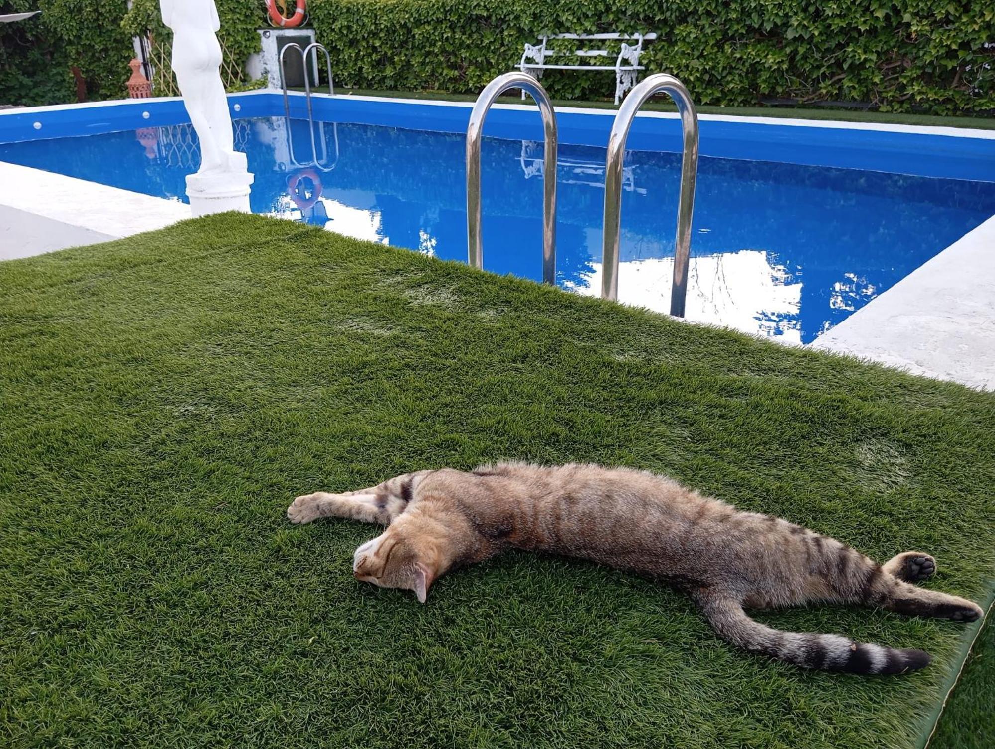 Casa di campagna La Tina Nueva